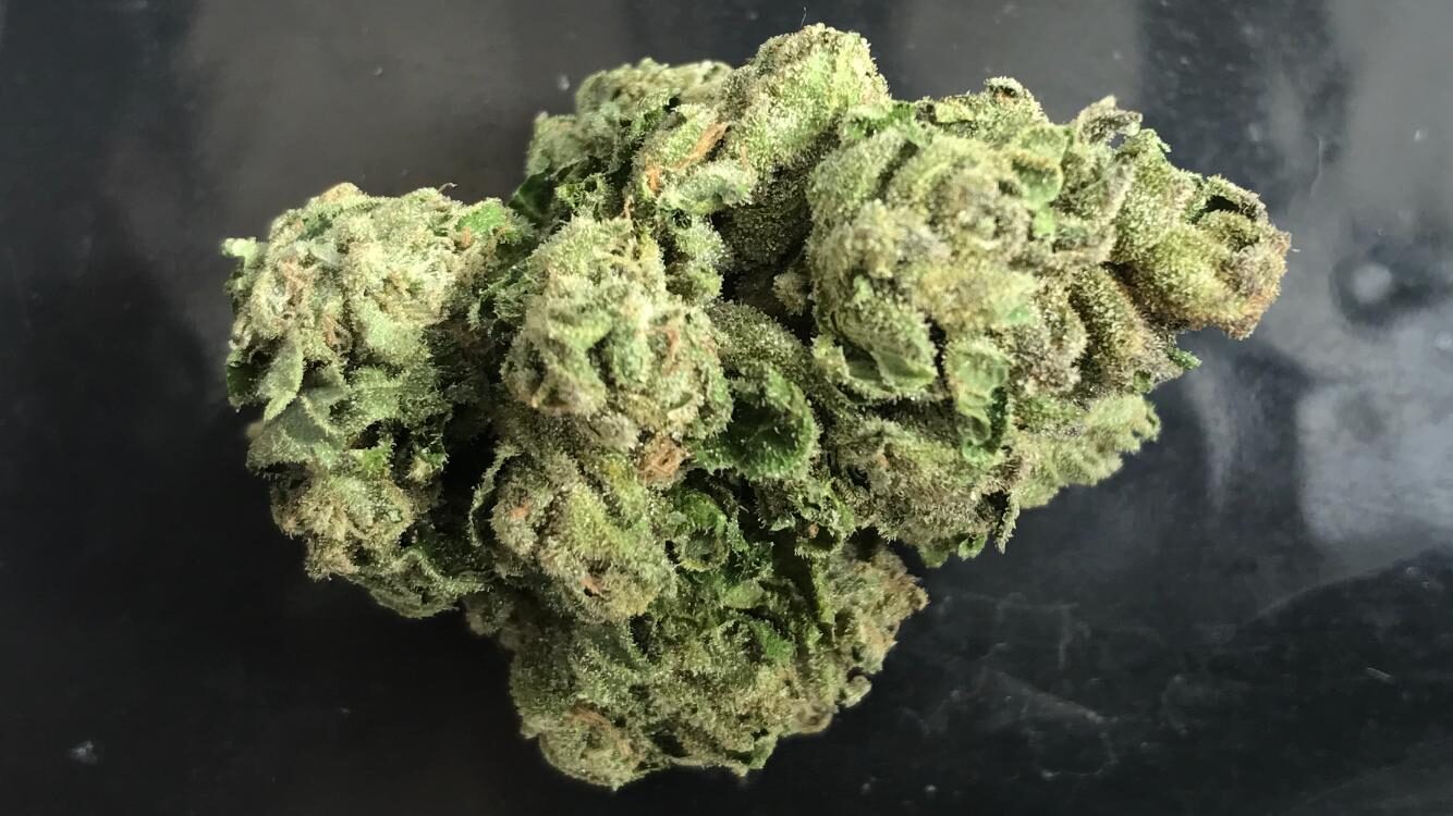 Cured Navarro River cannabis flower